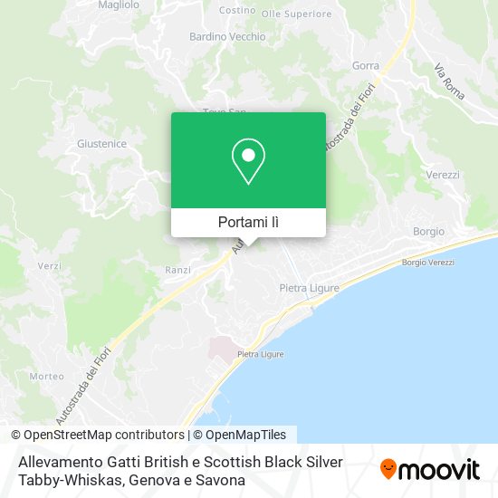 Mappa Allevamento Gatti British e Scottish Black Silver Tabby-Whiskas