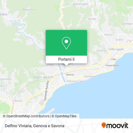 Mappa Delfino Viviana