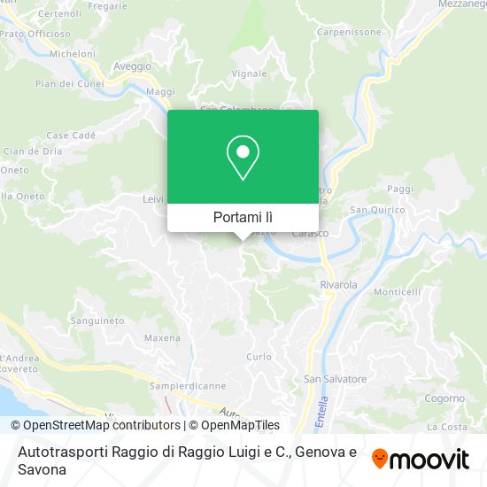 Mappa Autotrasporti Raggio di Raggio Luigi e C.