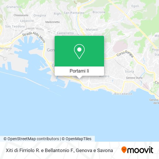 Mappa Xiti di Firriolo R. e Bellantonio F.