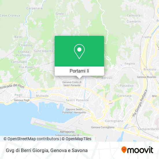 Mappa Gvg di Berri Giorgia