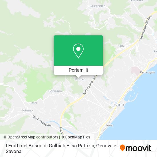 Mappa I Frutti del Bosco di Galbiati Elisa Patrizia