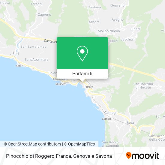 Mappa Pinocchio di Roggero Franca
