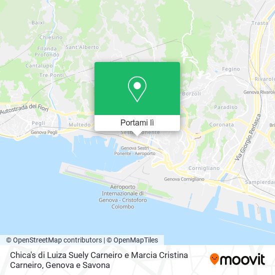 Mappa Chica's di Luiza Suely Carneiro e Marcia Cristina Carneiro