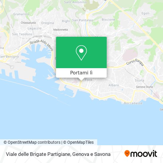 Mappa Viale delle Brigate Partigiane