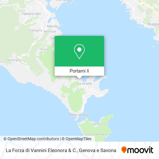 Mappa La Forza di Vannini Eleonora & C.