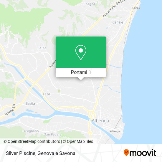 Mappa Silver Piscine