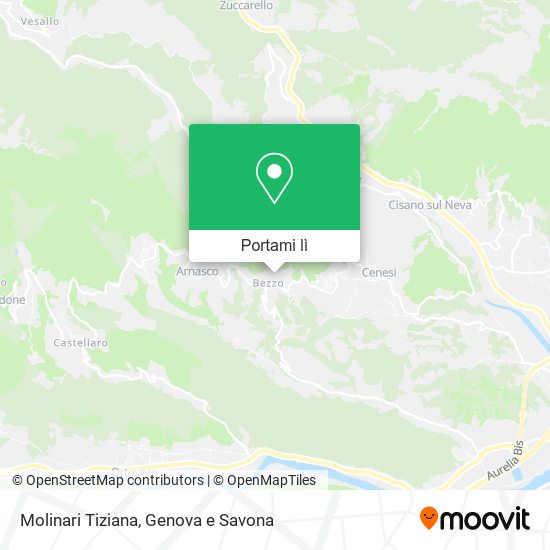 Mappa Molinari Tiziana