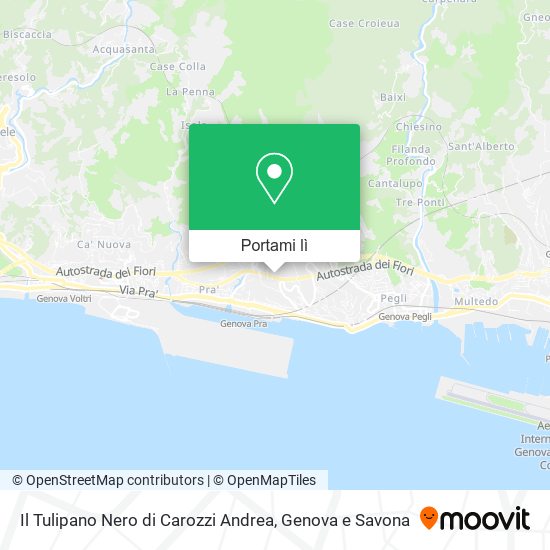Mappa Il Tulipano Nero di Carozzi Andrea