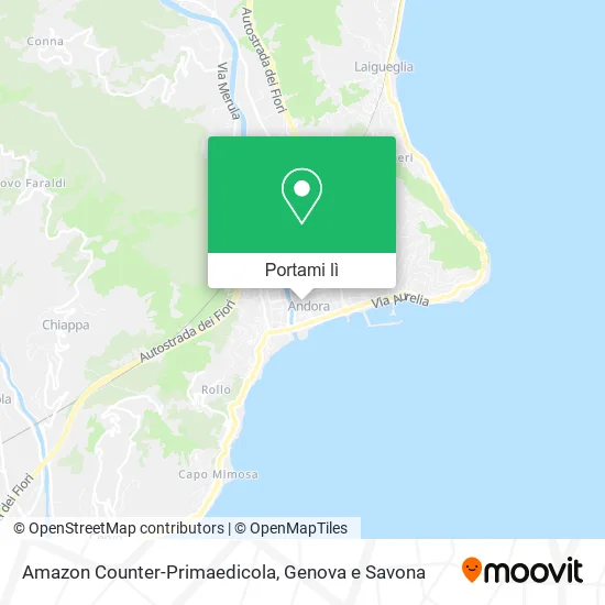 Mappa Amazon Counter-Primaedicola