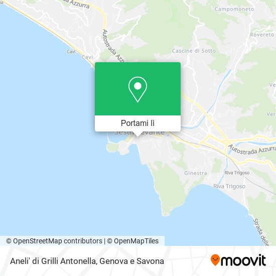 Mappa Aneli' di Grilli Antonella