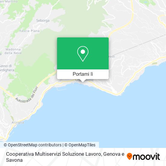 Mappa Cooperativa Multiservizi Soluzione Lavoro
