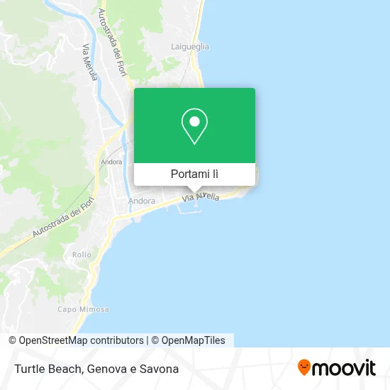 Mappa Turtle Beach
