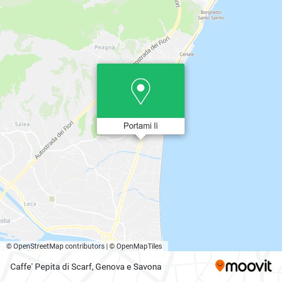 Mappa Caffe' Pepita di Scarf