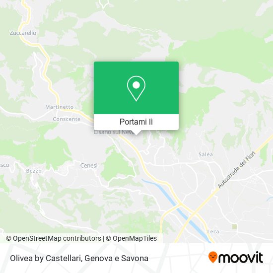 Mappa Olivea by Castellari