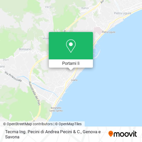 Mappa Tecma Ing. Pecini di Andrea Pecini & C.