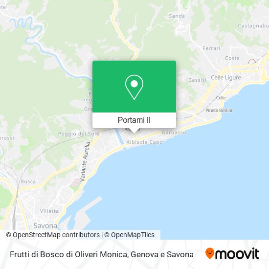 Mappa Frutti di Bosco di Oliveri Monica