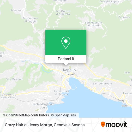 Mappa Crazy Hair di Jenny Morga