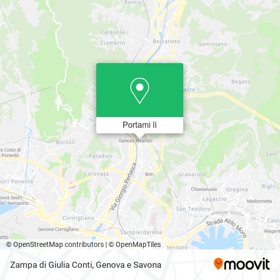 Mappa Zampa di Giulia Conti