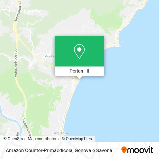 Mappa Amazon Counter-Primaedicola