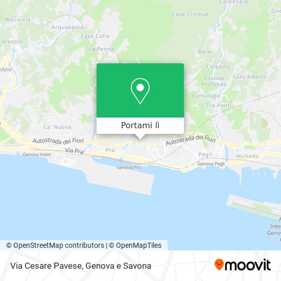 Mappa Via Cesare Pavese