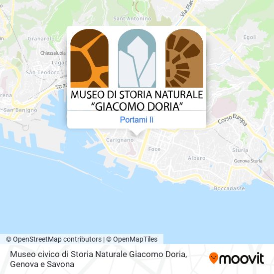 Mappa Museo civico di Storia Naturale Giacomo Doria