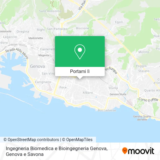 Mappa Ingegneria Biomedica e Bioingegneria Genova