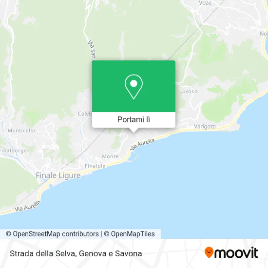 Mappa Strada della Selva