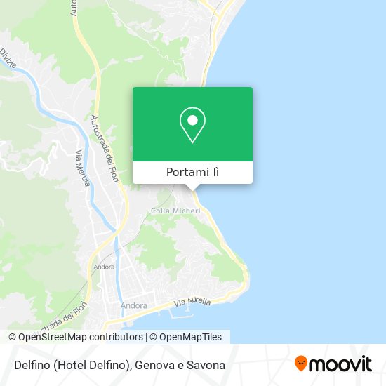 Mappa Delfino (Hotel Delfino)