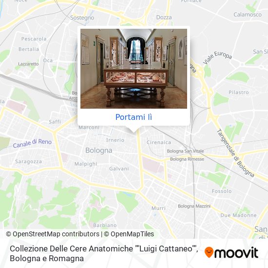 Mappa Collezione Delle Cere Anatomiche ""Luigi Cattaneo""