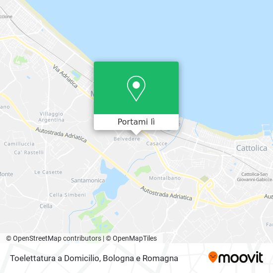 Mappa Toelettatura a Domicilio