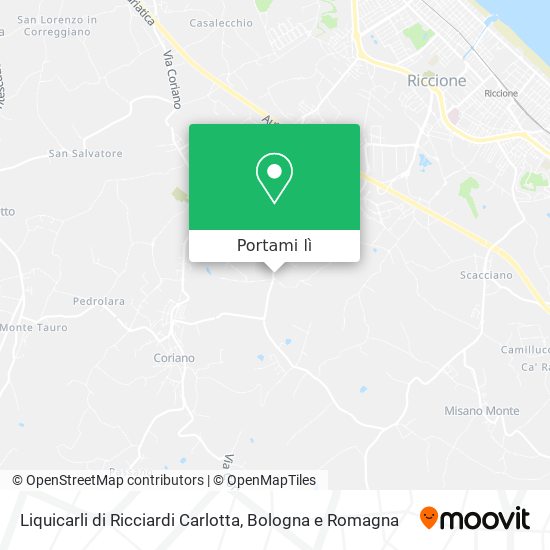 Mappa Liquicarli di Ricciardi Carlotta