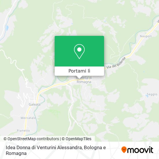 Mappa Idea Donna di Venturini Alessandra