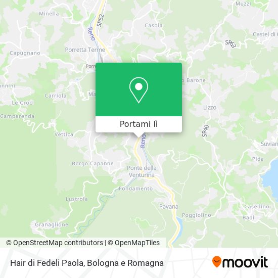 Mappa Hair di Fedeli Paola