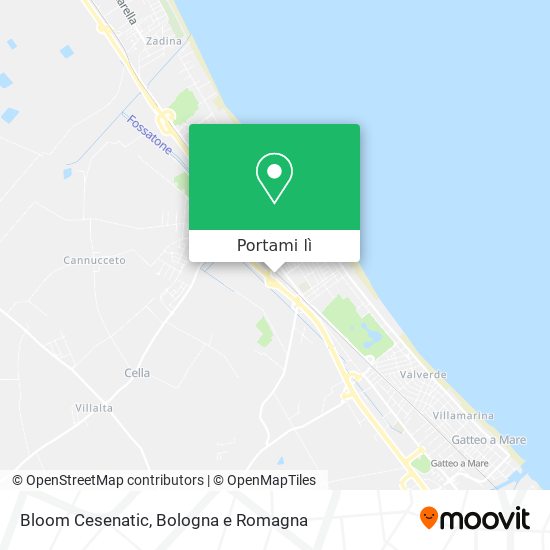 Mappa Bloom Cesenatic