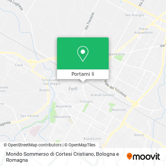 Mappa Mondo Sommerso di Cortesi Cristiano