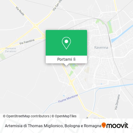 Mappa Artemisia di Thomas Miglionico