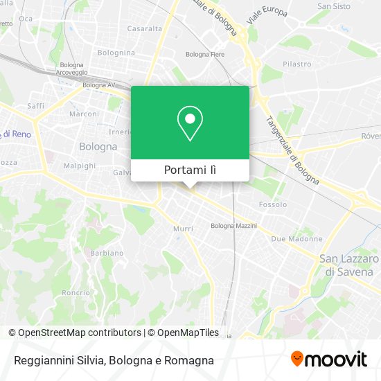 Mappa Reggiannini Silvia