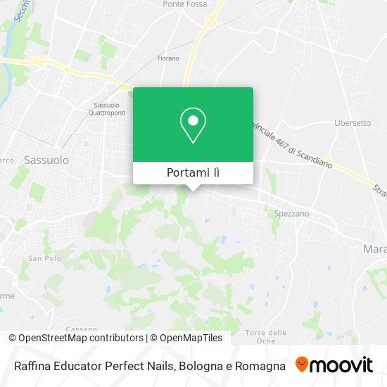 Mappa Raffina Educator Perfect Nails