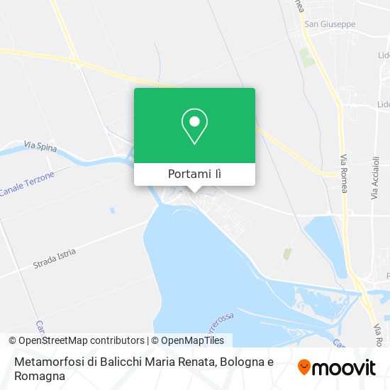 Mappa Metamorfosi di Balicchi Maria Renata