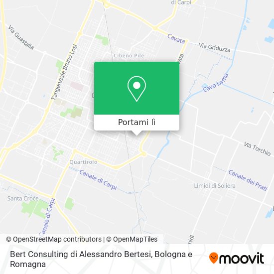 Mappa Bert Consulting di Alessandro Bertesi