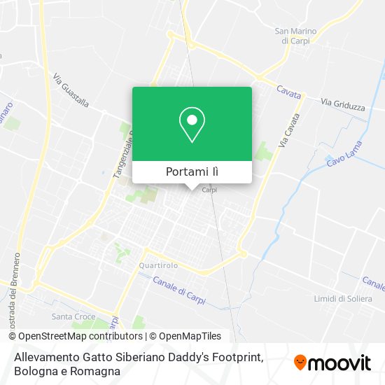 Mappa Allevamento Gatto Siberiano Daddy's Footprint