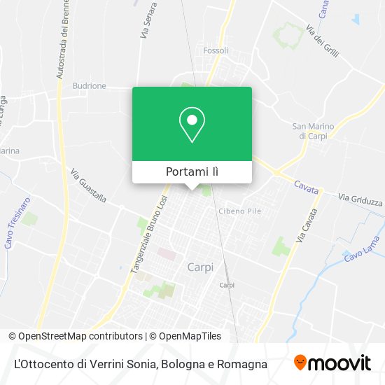 Mappa L'Ottocento di Verrini Sonia