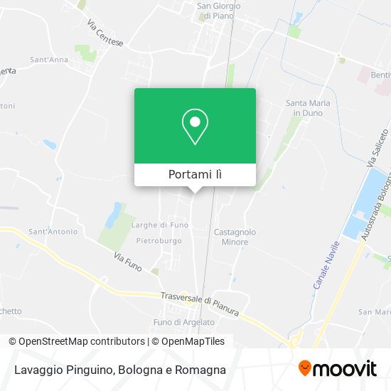 Mappa Lavaggio Pinguino