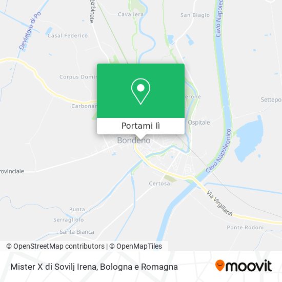 Mappa Mister X di Sovilj Irena