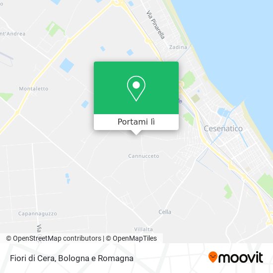 Mappa Fiori di Cera
