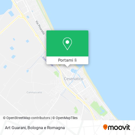 Mappa Art Guarani