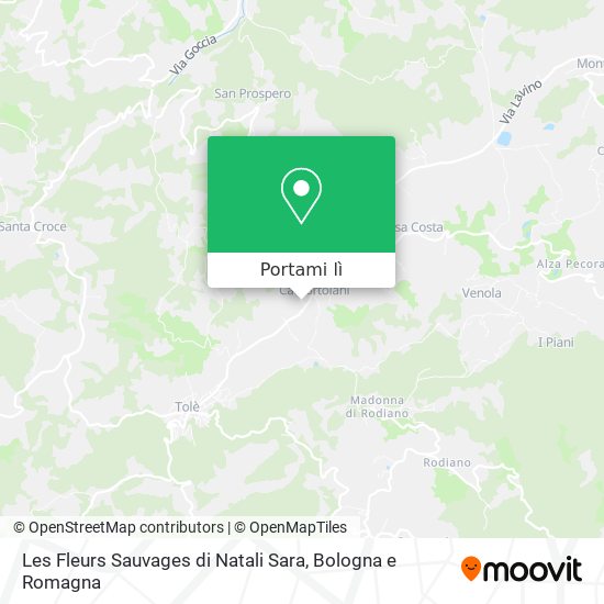 Mappa Les Fleurs Sauvages di Natali Sara
