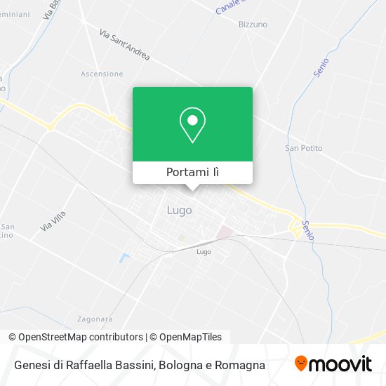 Mappa Genesi di Raffaella Bassini