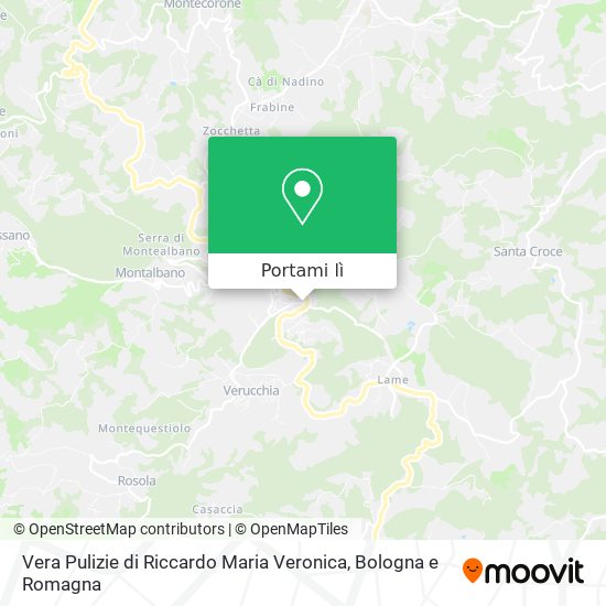 Mappa Vera Pulizie di Riccardo Maria Veronica